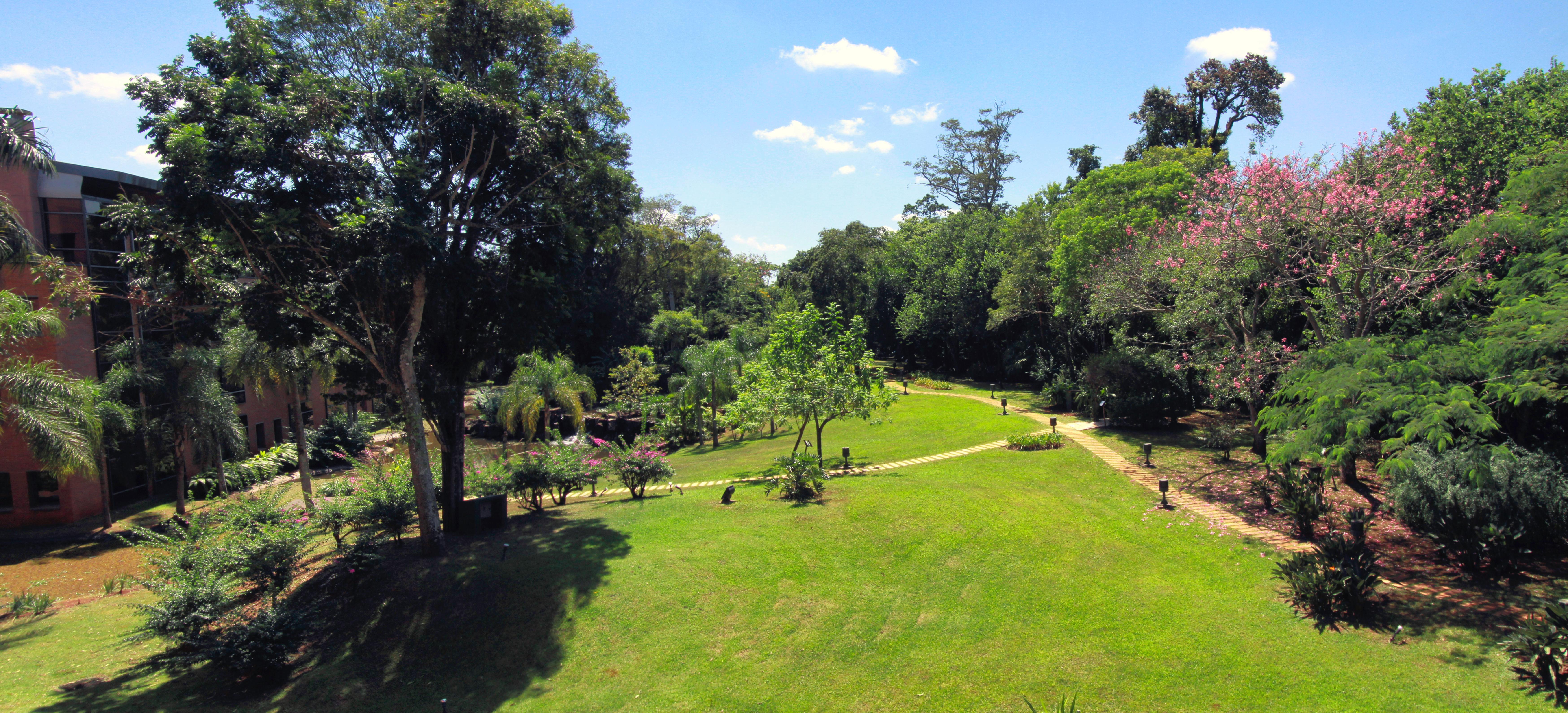 Iguazú Grand Resort Spa&Casino Puerto Iguazú Esterno foto
